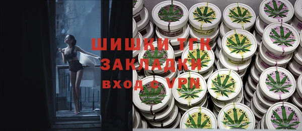 дмт Пестово