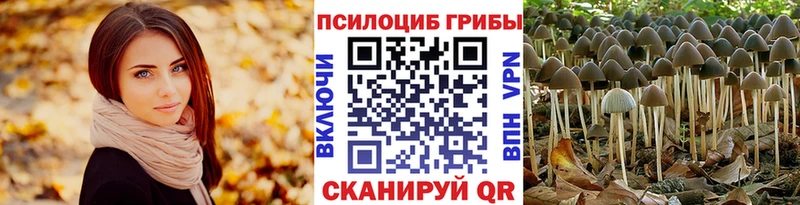 наркотики  Краснослободск  гидра ONION  Псилоцибиновые грибы ЛСД 